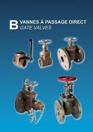 B - Gate valves