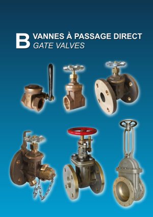 B - Gate valves